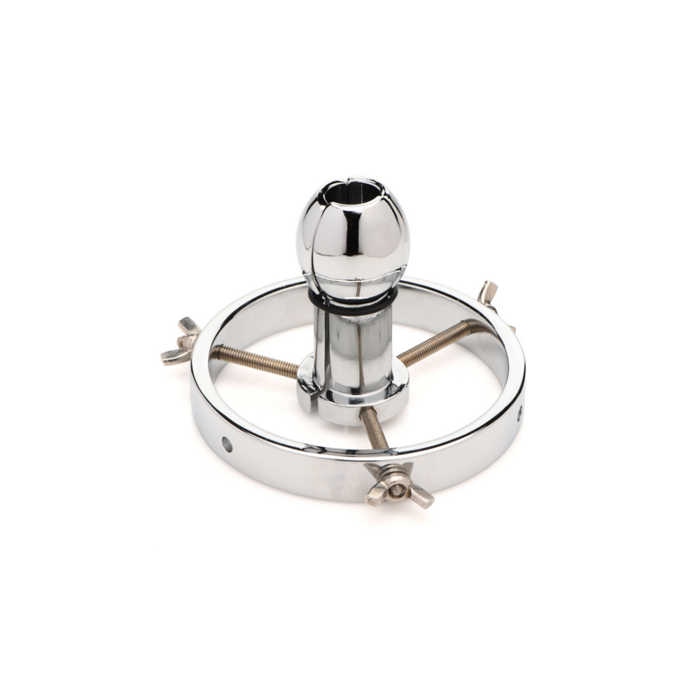 Forced Spread - Stainless Steel Anal Explorer