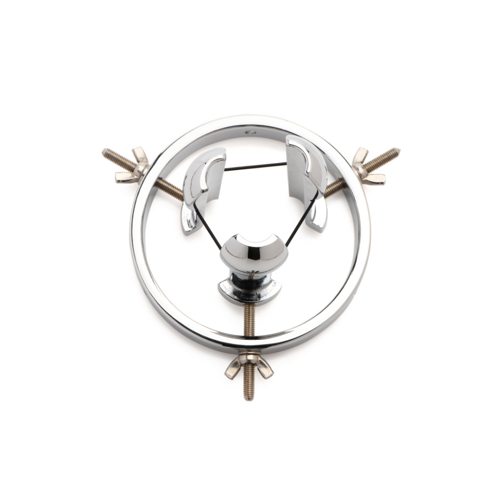 Forced Spread - Stainless Steel Anal Explorer