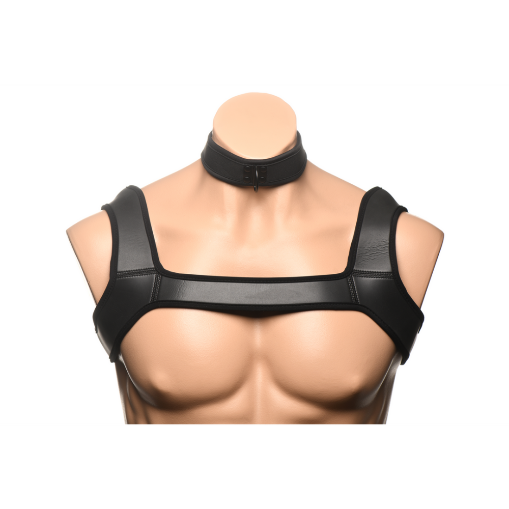 Full Pup Arsenal Set - Black