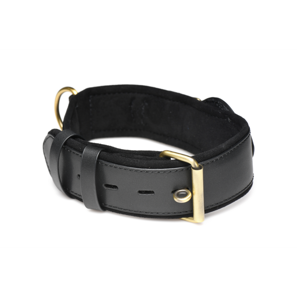 Tracer - Tracking Collar - Black