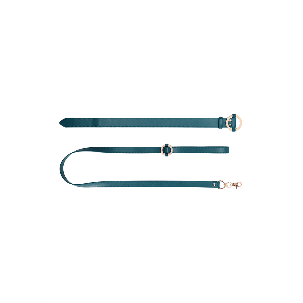 Luxurious Collar with Leash