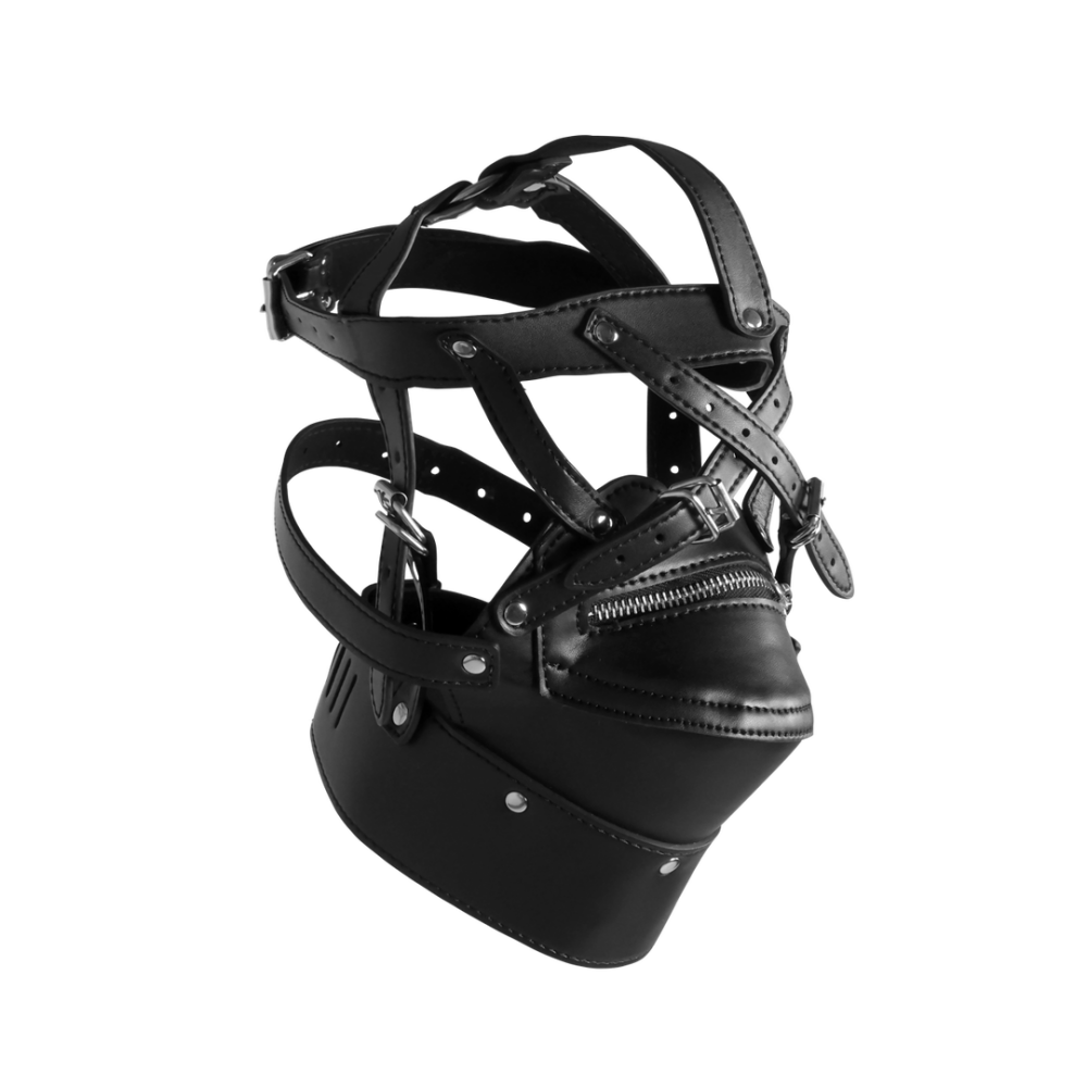 Head Harness with Zip-up Mouth and Lock - Black
